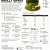 Barley Grass Powder 300g (One Month's Supply)